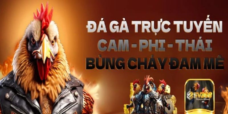 Mẹo chơi game thắng lớn dành cho bet thủ