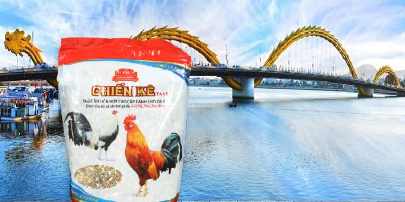 Thức Ăn Cho Gà Đá Giúp Chiến Kê Sung Sức – Dẻo Dai